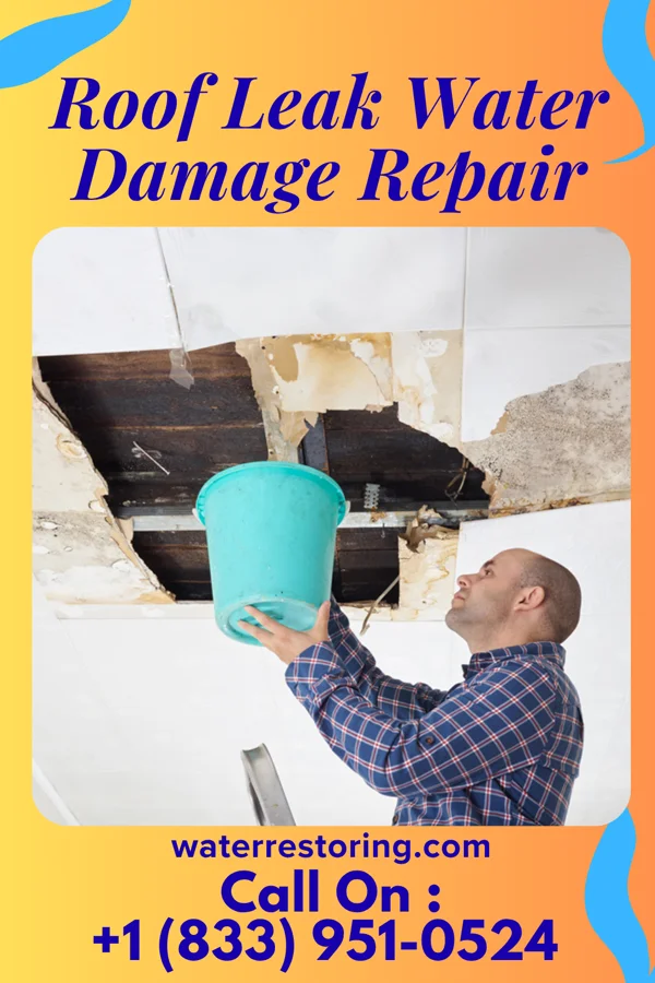 Roof Leak Water Damage Repair in Oklahoma, PA